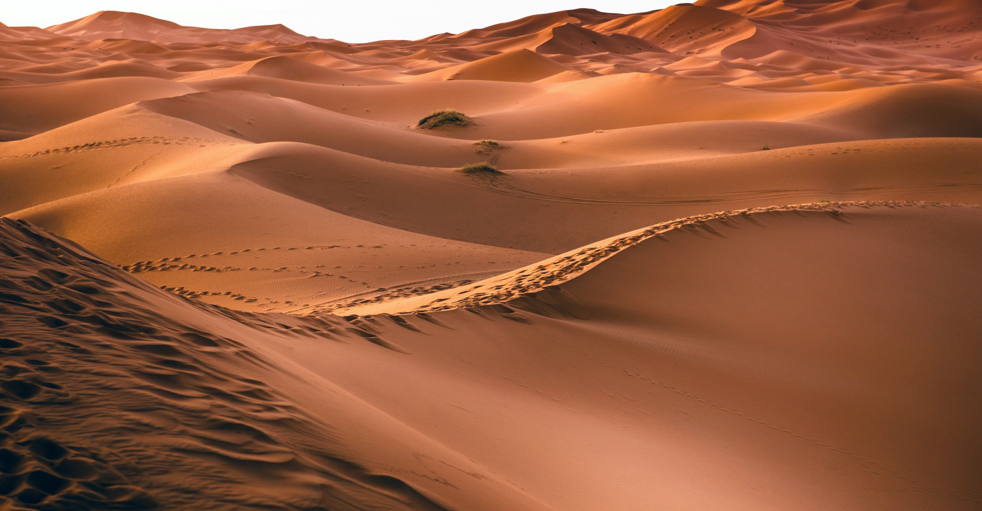Disierto de Marruecos