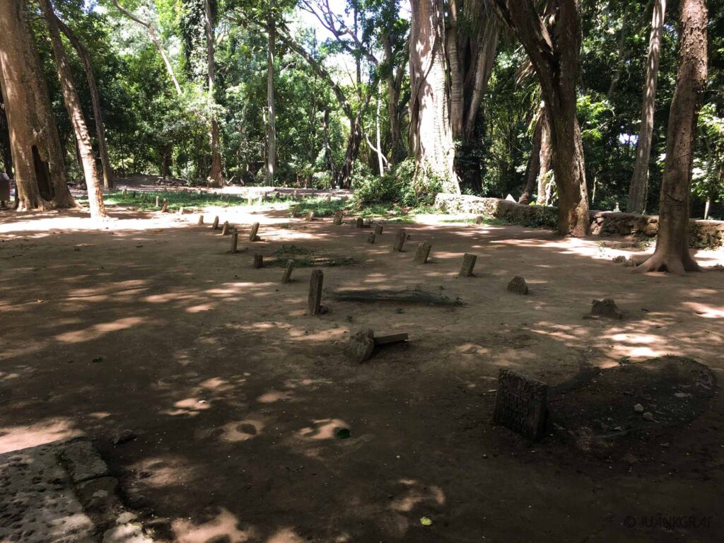 Cementerio monkey forest