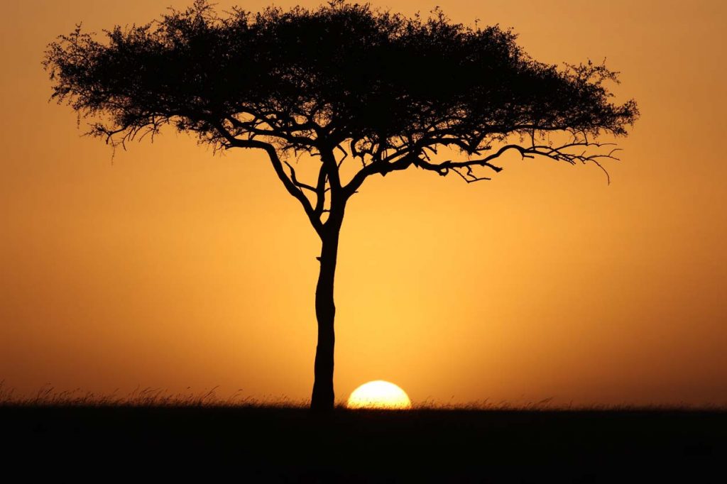 La puesta de sol en Masai Mara Kenia